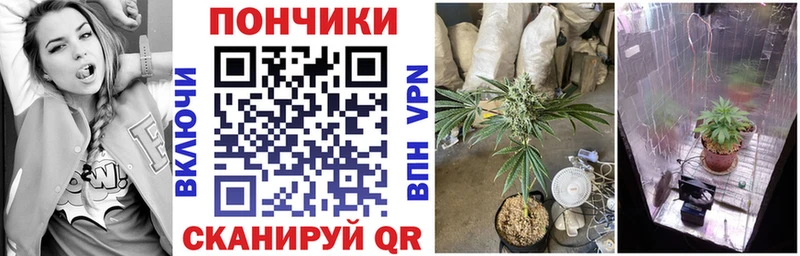 Бошки Шишки ГИДРОПОН  цена наркотик  Усть-Лабинск 